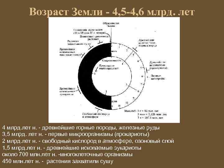 Возраст Земли - 4, 5 -4, 6 млрд. лет 4 млрд. лет н. -