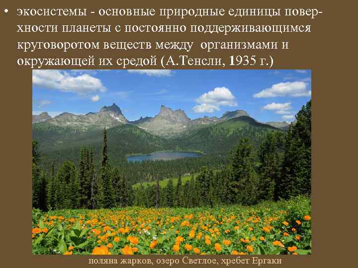  • экосистемы - основные природные единицы поверхности планеты c постоянно поддерживающимся круговоротом веществ