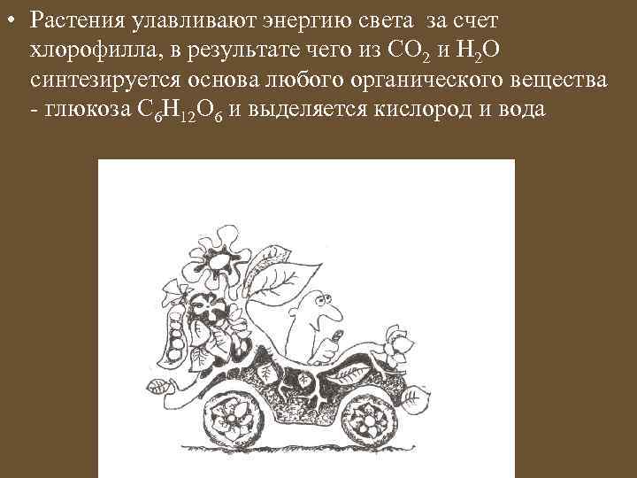  • Растения улавливают энергию света за счет хлорофилла, в результате чего из СО