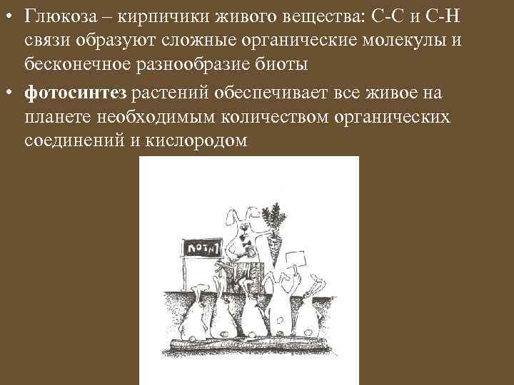  • Глюкоза – кирпичики живого вещества: С-С и С-Н связи образуют сложные органические