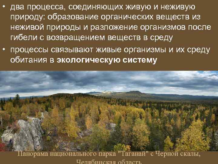  • два процесса, соединяющих живую и неживую природу: образование органических веществ из неживой