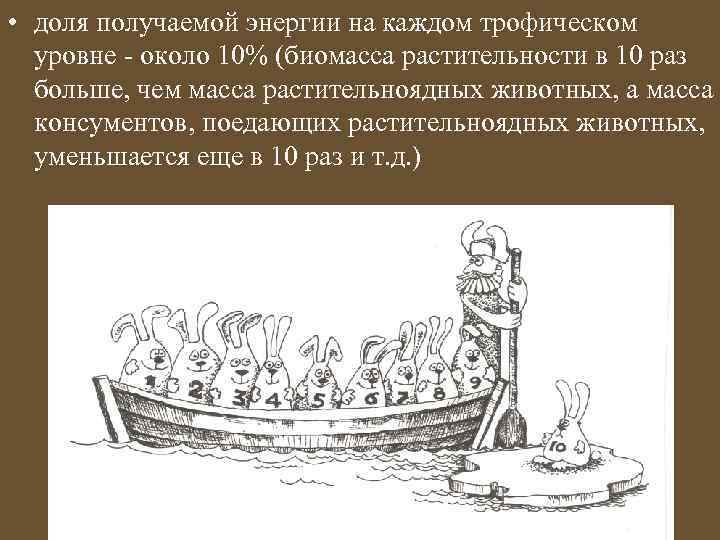  • доля получаемой энергии на каждом трофическом уровне - около 10% (биомасса растительности