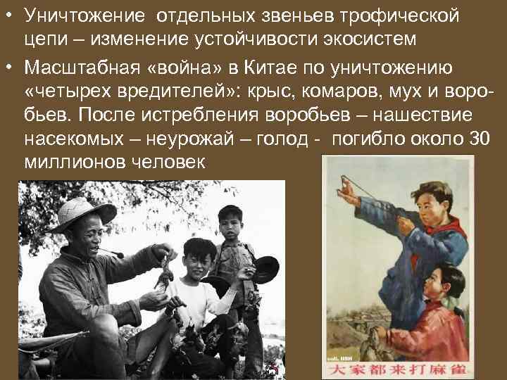  • Уничтожение отдельных звеньев трофической цепи – изменение устойчивости экосистем • Масштабная «война»