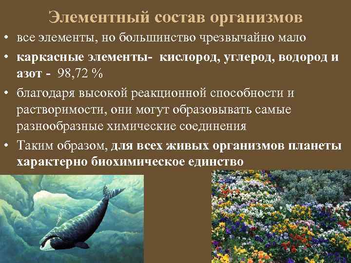 Элементный состав организмов • все элементы, но большинство чрезвычайно мало • каркасные элементы- кислород,