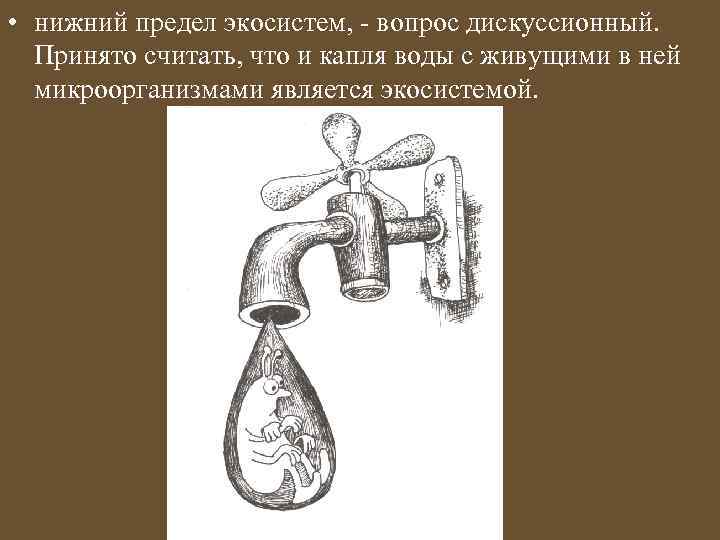  • нижний предел экосистем, - вопрос дискуссионный. Принято считать, что и капля воды