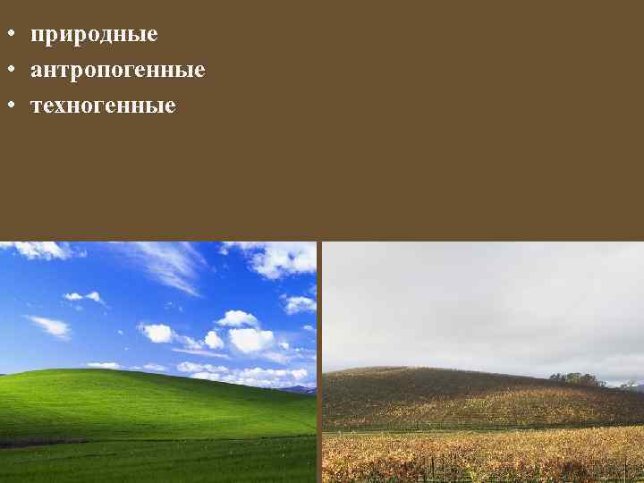  • природные • антропогенные • техногенные 