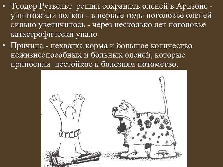  • Теодор Рузвельт решил сохранить оленей в Аризоне уничтожили волков - в первые