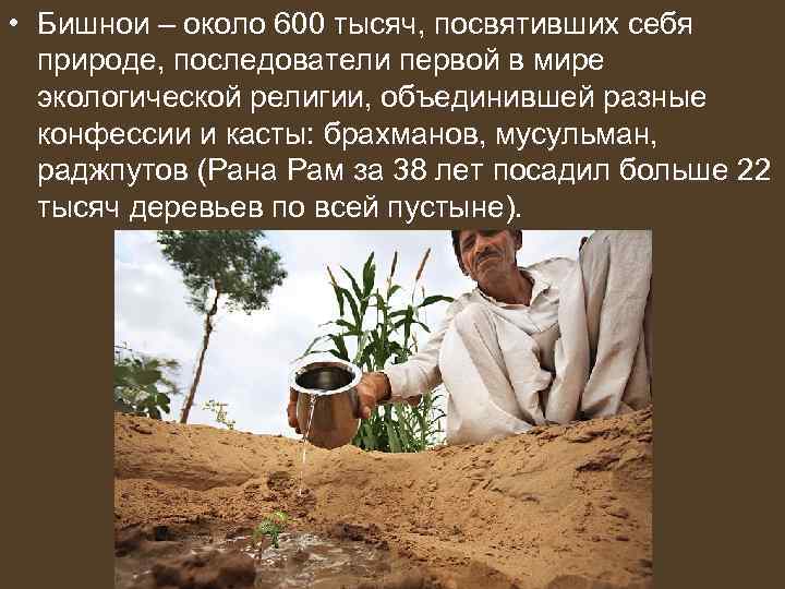  • Бишнои – около 600 тысяч, посвятивших себя природе, последователи первой в мире