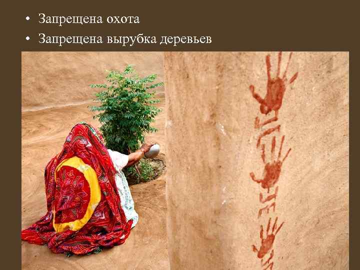  • Запрещена охота • Запрещена вырубка деревьев 