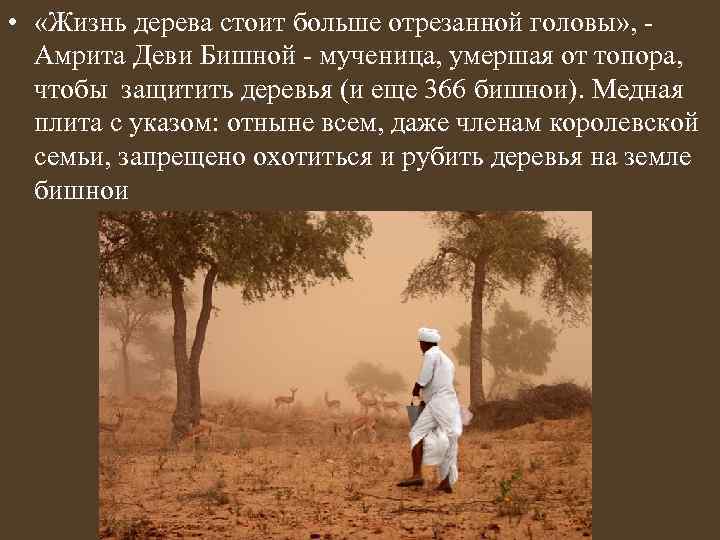  • «Жизнь дерева стоит больше отрезанной головы» , - Амрита Деви Бишной -