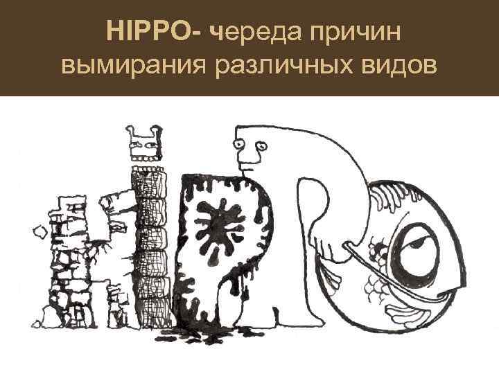HIPPO- череда причин вымирания различных видов 