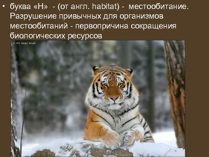  • буква «Н» - (от англ. habitat) - местообитание. Разрушение привычных для организмов