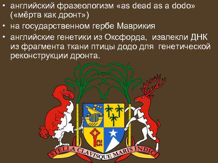  • английский фразеологизм «as dead as a dodo» ( «мёртв как дронт» )
