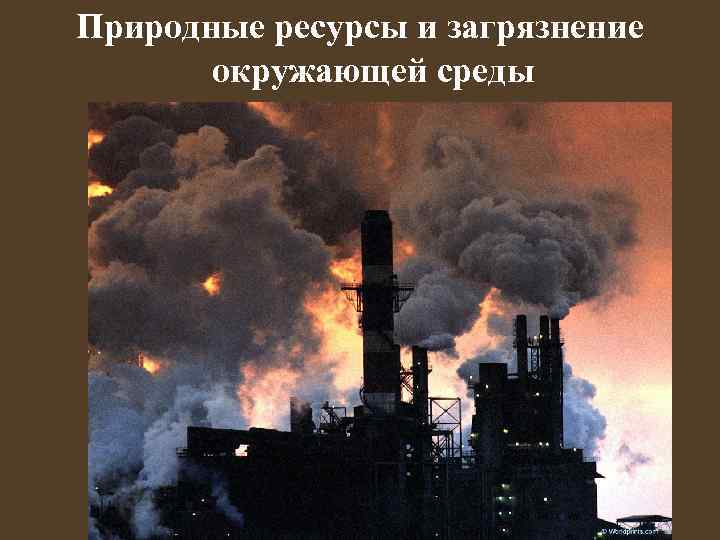 Природные ресурсы и загрязнение окружающей среды 