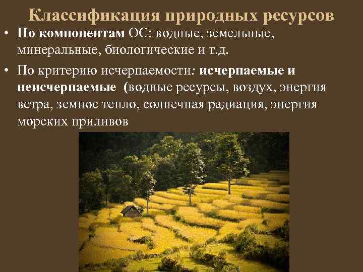 Классификация природных ресурсов • По компонентам ОС: водные, земельные, минеральные, биологические и т. д.