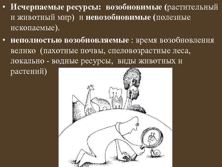  • Исчерпаемые ресурсы: возобновимые (растительный и животный мир) и невозобновимые (полезные ископаемые). •