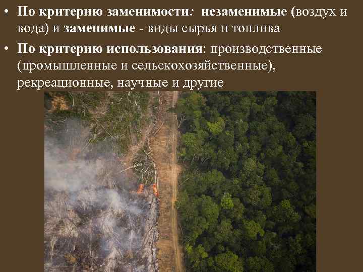  • По критерию заменимости: незаменимые (воздух и вода) и заменимые - виды сырья