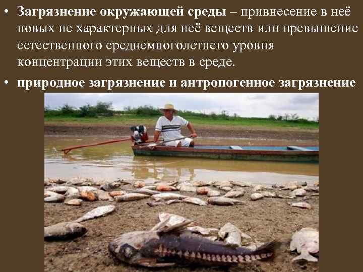  • Загрязнение окружающей среды – привнесение в неё новых не характерных для неё