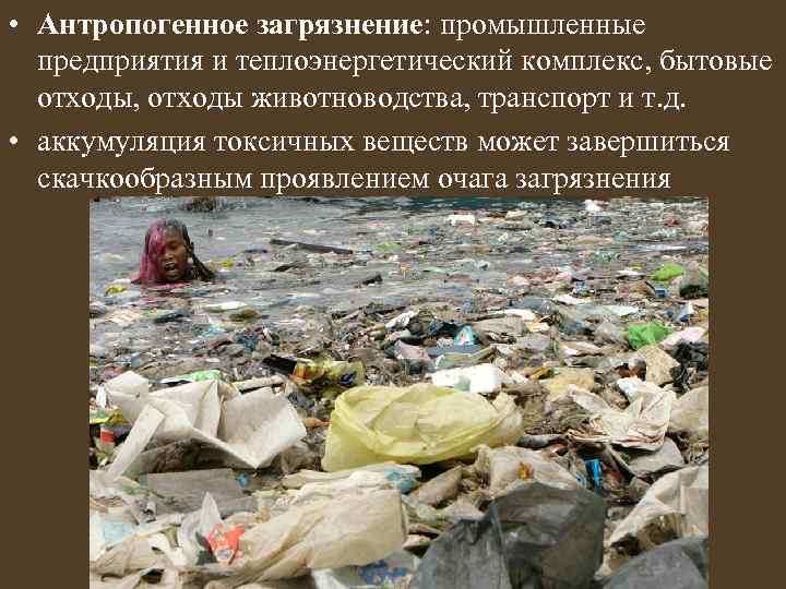  • Антропогенное загрязнение: промышленные предприятия и теплоэнергетический комплекс, бытовые отходы, отходы животноводства, транспорт