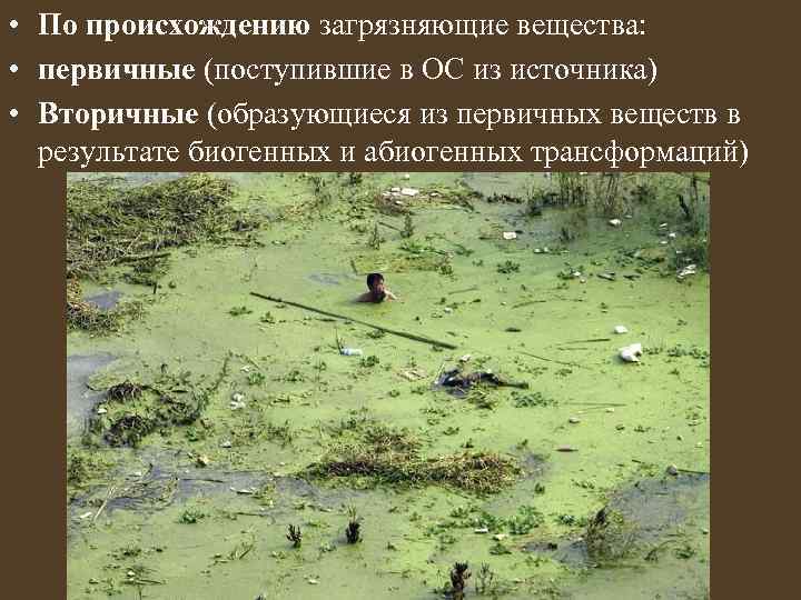  • По происхождению загрязняющие вещества: • первичные (поступившие в ОС из источника) •