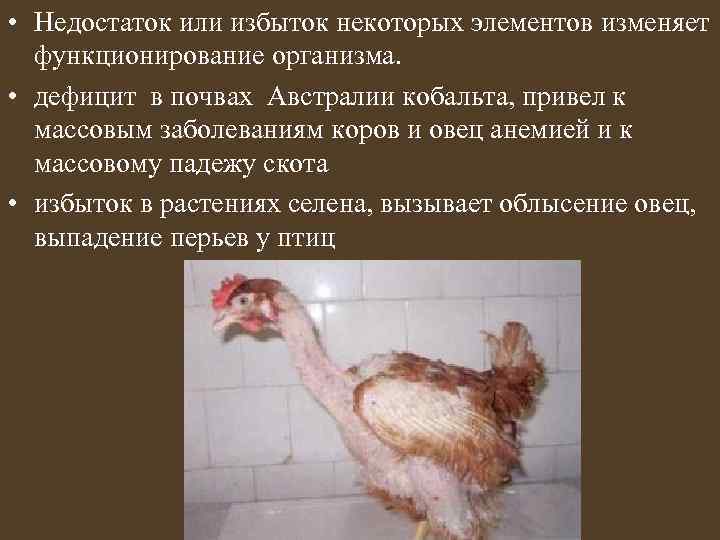  • Недостаток или избыток некоторых элементов изменяет функционирование организма. • дефицит в почвах