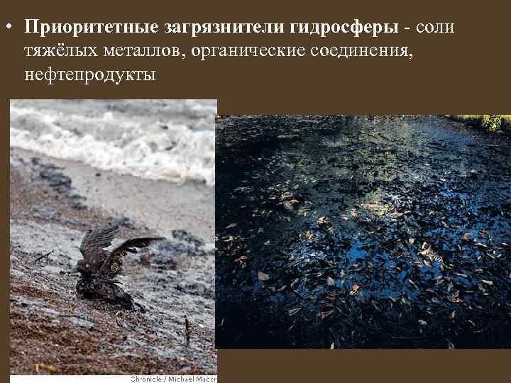  • Приоритетные загрязнители гидросферы - соли тяжёлых металлов, органические соединения, нефтепродукты 