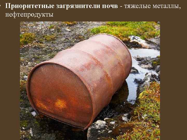  • Приоритетные загрязнители почв - тяжелые металлы, нефтепродукты 