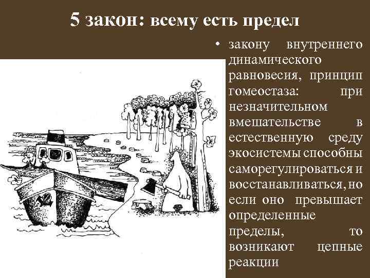 5 закон: всему есть предел • закону внутреннего динамического равновесия, принцип гомеостаза: при незначительном
