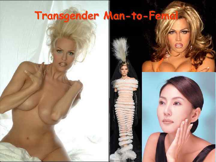 Transgender Man-to-Femal 