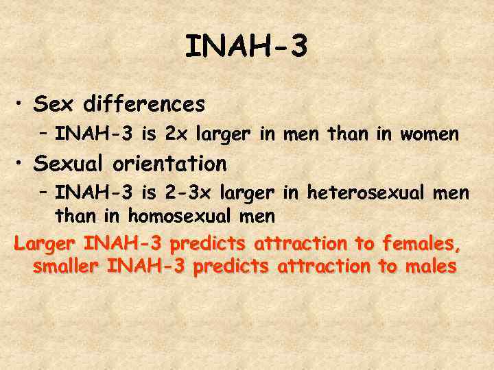 INAH-3 • Sex differences – INAH-3 is 2 x larger in men than in