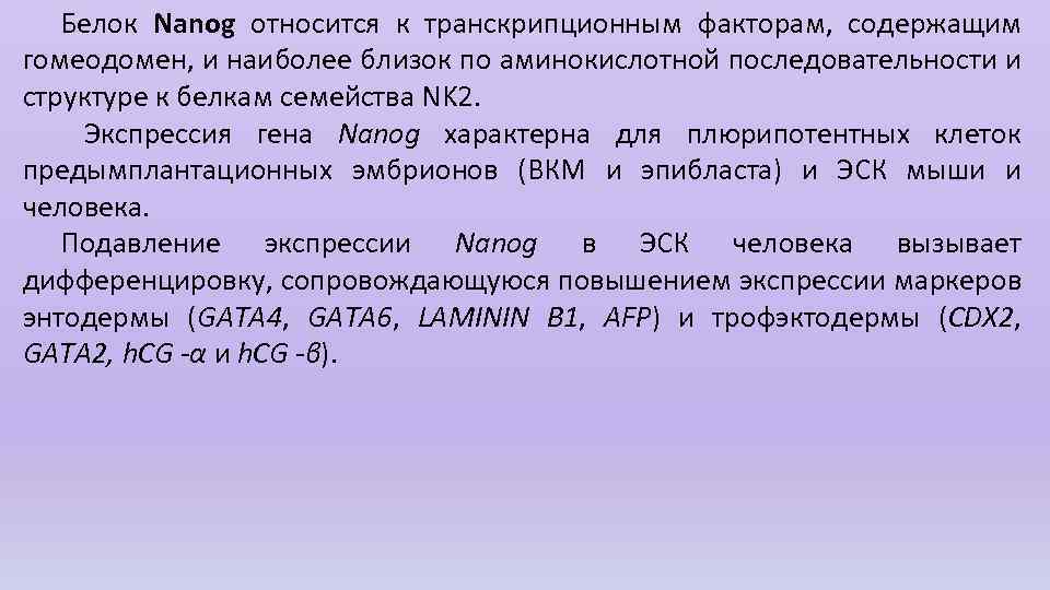 Белок Nanog относится к транскрипционным факторам, содержащим гомеодомен, и наиболее близок по аминокислотной последовательности