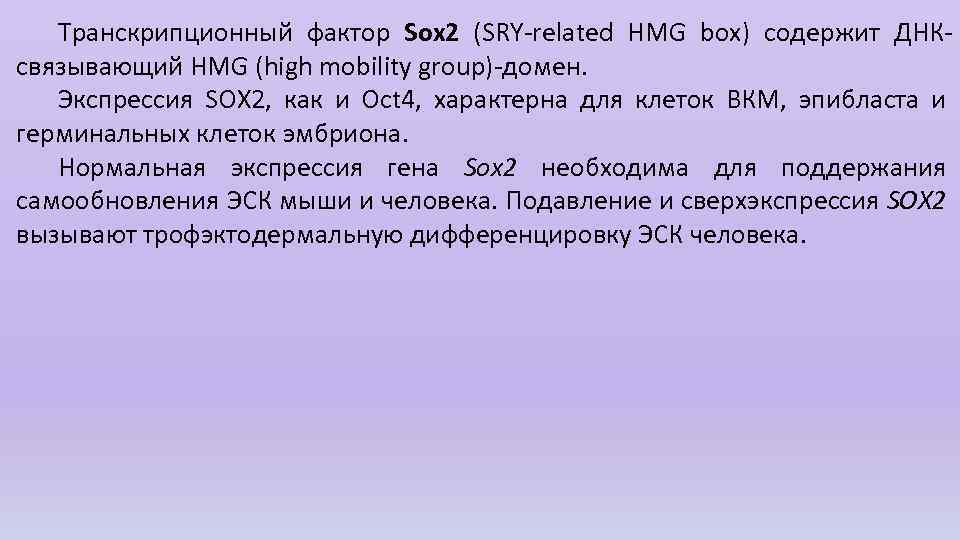 Транскрипционный фактор Sox 2 (SRY-related HMG box) содержит ДНКсвязывающий HMG (high mobility group)-домен. Экспрессия