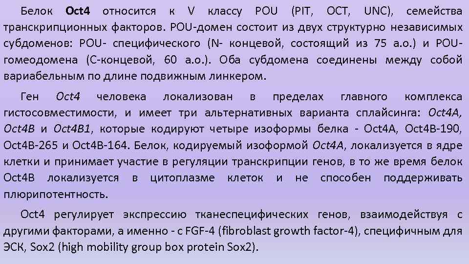 Белок Oct 4 относится к V классу POU (PIT, OCT, UNC), семейства транскрипционных факторов.