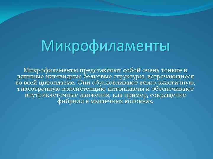 Микрофиламенты представляют собой очень тонкие и длинные нитевидные белковые структуры, встречающиеся во всей цитоплазме.