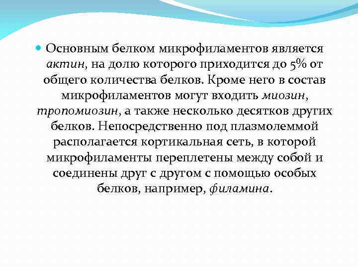  Основным белком микрофиламентов является актин, на долю которого приходится до 5% от общего