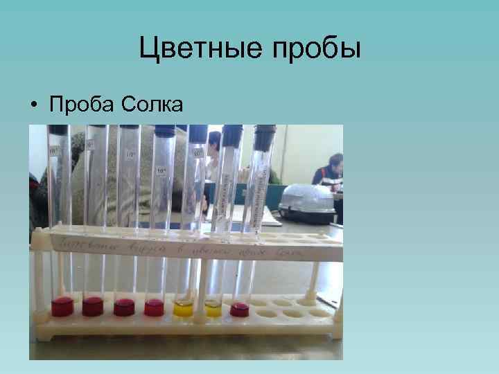 Цветные пробы • Проба Солка 