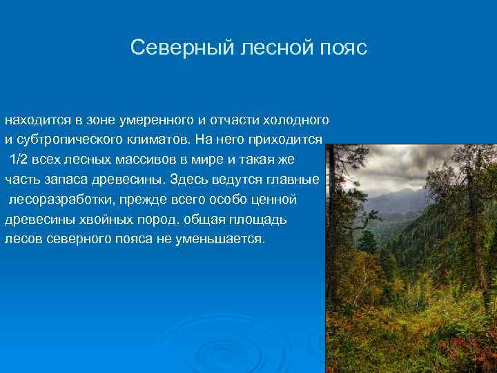 На каких высотах расположен лесной пояс кавказ. Северный Лесной пояс. Северный пояс лесов. Страны Северного лесного пояса.