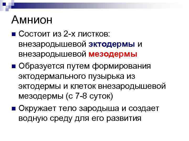Амнион Состоит из 2 -х листков: внезародышевой эктодермы и внезародышевой мезодермы n Образуется путем
