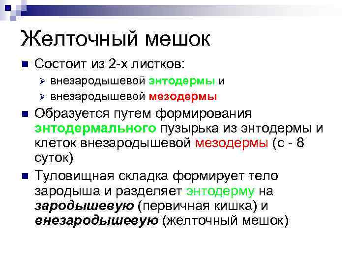 Желточный мешок n Состоит из 2 -х листков: внезародышевой энтодермы и Ø внезародышевой мезодермы