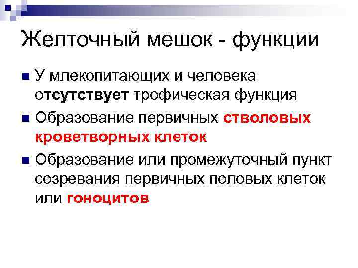 Желточный мешок - функции У млекопитающих и человека отсутствует трофическая функция n Образование первичных