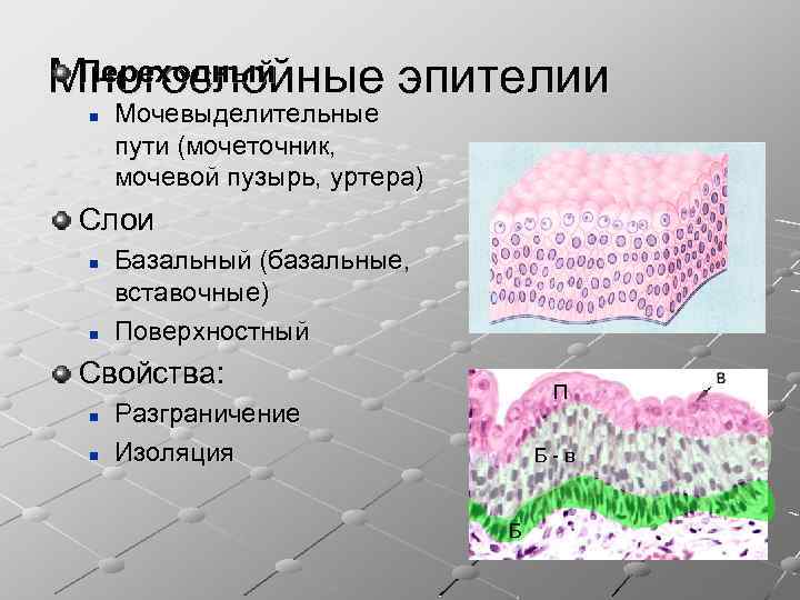 Взятие образцов буккального эпителия