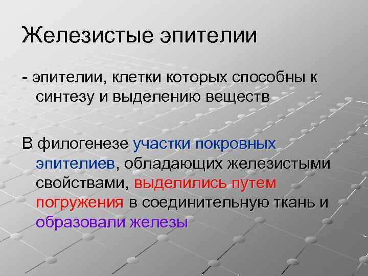 Железистые эпителии - эпителии, клетки которых способны к синтезу и выделению веществ В филогенезе