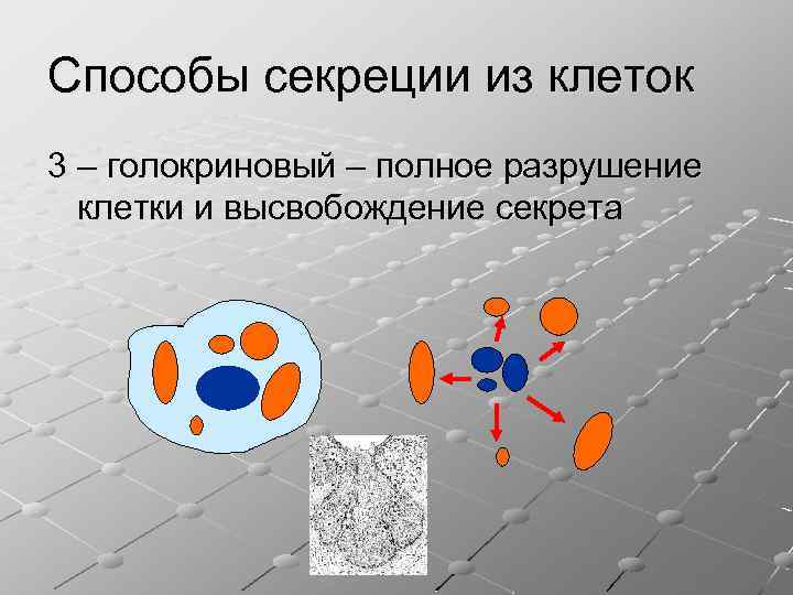 Метод секреции