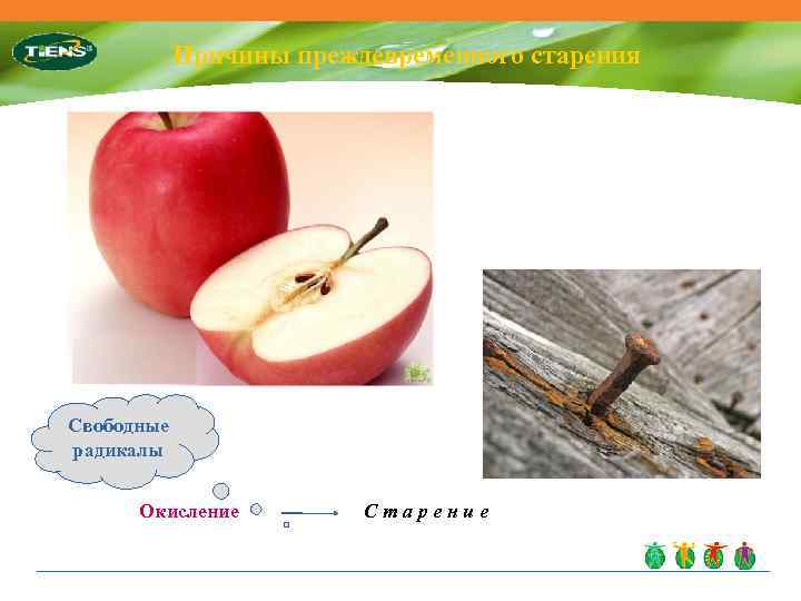 Причины преждевременного старения Свободные радикалы Окисление Старение 