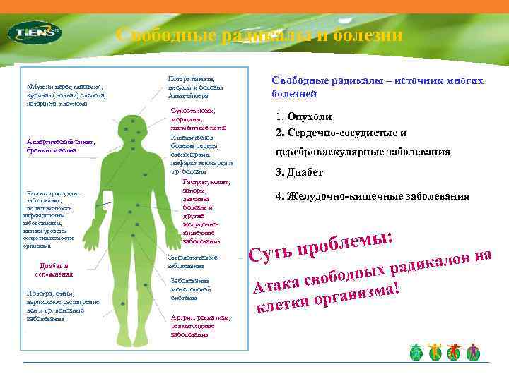 Свободные радикалы и болезни «Мушки перед глазами» , куриная (ночная) слепота, катаракта, глаукома Аллергический
