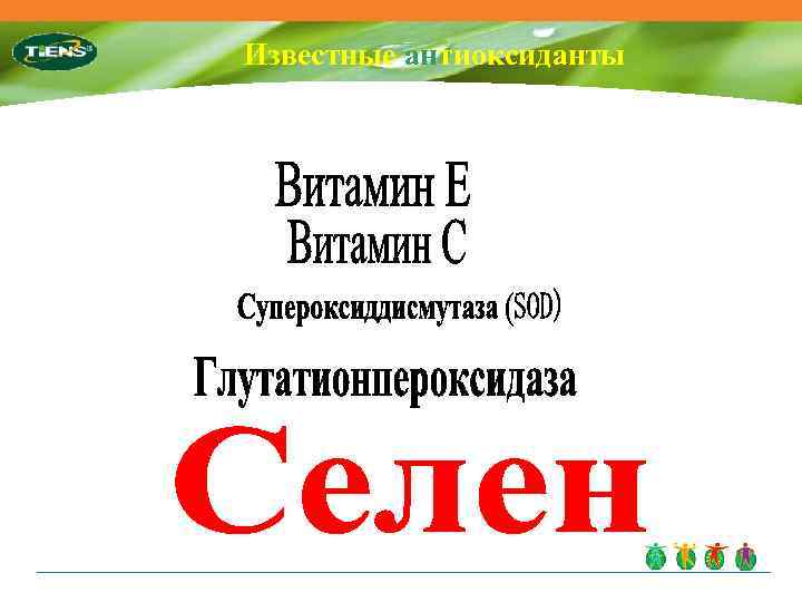 Известные антиоксиданты 