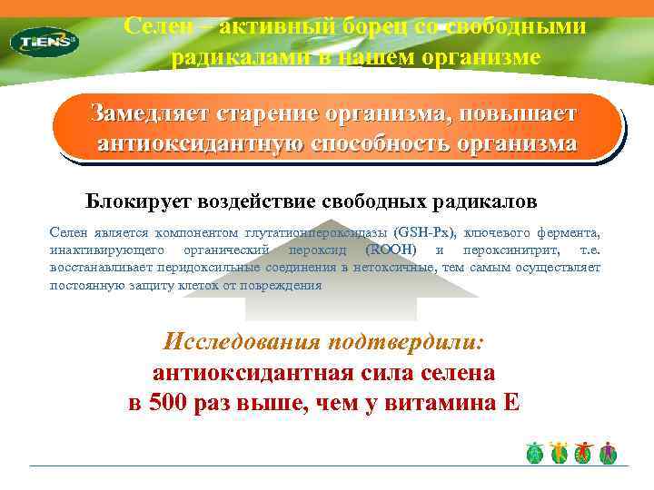 Селен ‒ активный борец со свободными радикалами в нашем организме Замедляет старение организма, повышает