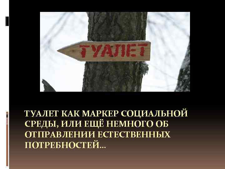 ТУАЛЕТ КАК МАРКЕР СОЦИАЛЬНОЙ СРЕДЫ, ИЛИ ЕЩЁ НЕМНОГО ОБ ОТПРАВЛЕНИИ ЕСТЕСТВЕННЫХ ПОТРЕБНОСТЕЙ… 