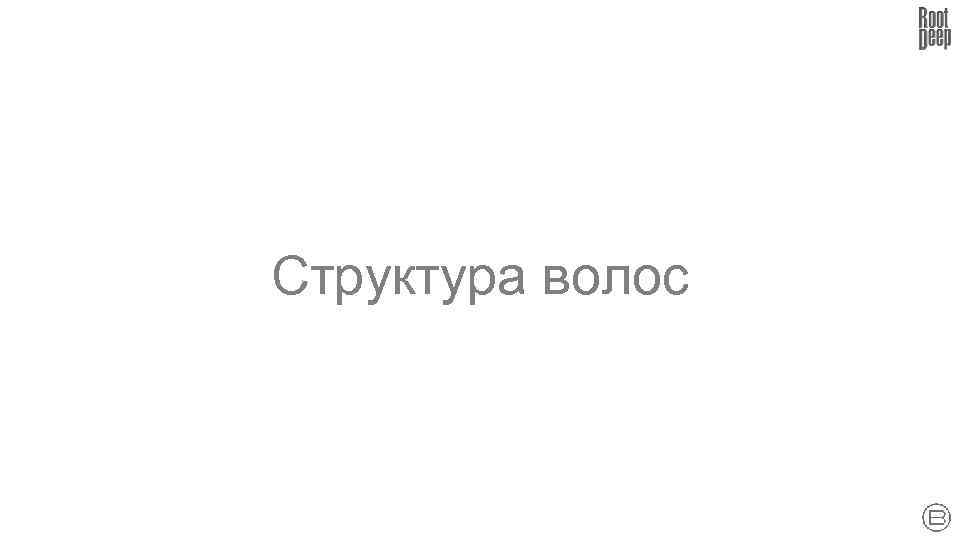 Структура волос 