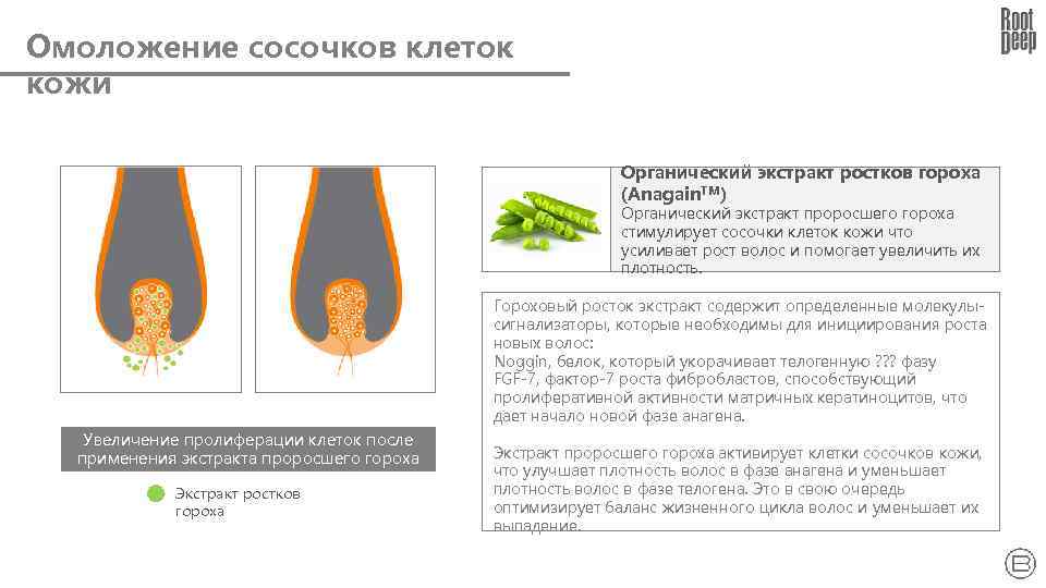Омоложение сосочков клеток кожи Органический экстракт ростков гороха (Anagain. TM) Органический экстракт проросшего гороха